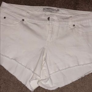 Torrid Shorts